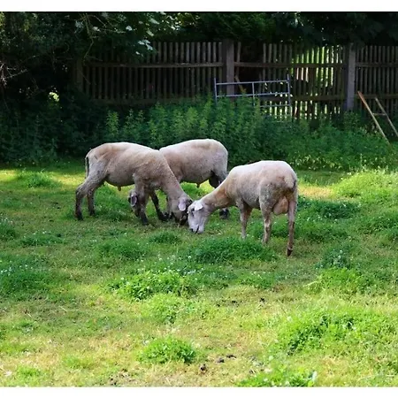 In Διαμέρισμα