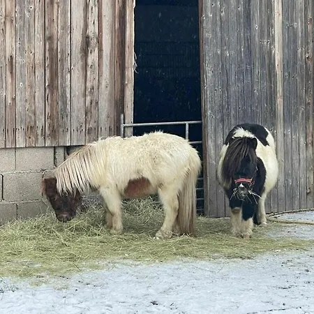 In Διαμέρισμα Himmelkron